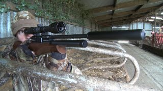 The Airgun Show – hunting farmyard doves and feral pigeons, PLUS the Cometa Goldeneye Kit on test…