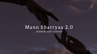 MANN BHARRYAA | RAJ BARMAN | (lofi)