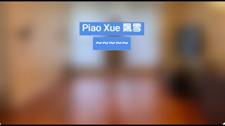 line dance demo - Piao Xue 飄雪