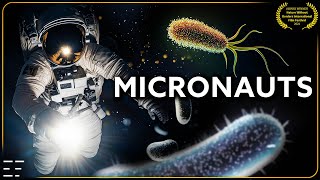 The Beauty of Bacteria | Discover The Microcosmos INSIDE You | FULL DOCUMENTARY