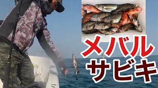 メバルの連掛けって難しー【目指せサビキ全掛け】