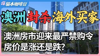 澳洲房市大变天！2025年起外国人禁买二手房，房价会跌还是更贵？| 禁购令背后的真相 | 你的买房计划还靠谱吗？| 澳新移民生活深度分享 | 猫本咖啡豆