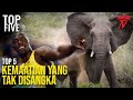 TOP 5 | DAH MAATI PON GAJAH AJAK REPEAT!!!