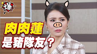 《多情大爆爆》多情城市 EP85 肉肉蓮 是豬隊友？