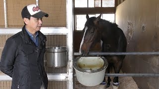 【日本ダービー】クラージュゲリエ・池江泰寿調教師　反撃の若侍