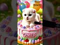 happy birthday omer happy birthday song with names adorable cute cat 😺 happybirthday birthday