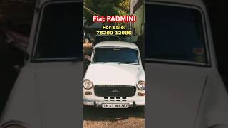 fiat premier Padmini diesel single owner car sale now😲😲😲