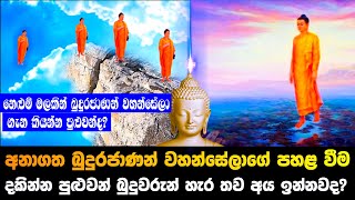 අනාගත බුදුහිමිවරුන්ගේ පහළ වීම දකින්න පුලුවන් බුදුවරු හැර තව අය ඉන්නවද?