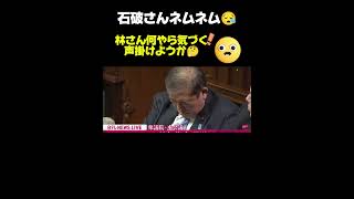 2024年11月11日臨時国会開会日 自民党石破総裁首相指名選挙で寝てしまう😪