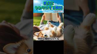 【犬の雑学】犬の豆知識(2)愛犬は飼い主とシンクロする#犬の雑学＃犬の豆知識