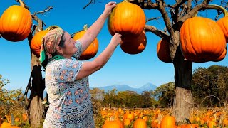 I spent 30 days cooking with my grandma and learned her pumpkin cooking secrets