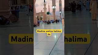 MADINEY WALIA HALEEMA DIA PIARIA🥰🤲 #islamic #viral #status #naat #shorts #islamicstatus #madina
