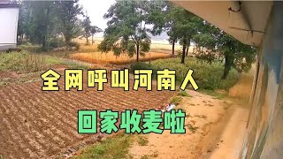 全网呼叫河南人，回家收麦啦！5月26号河南老家下雨了