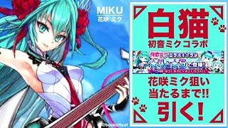 【白猫プロジェクト】花咲ミク狙いで「初音ミク コラボ ガチャ」【無課金】