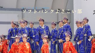 ソフトバンクよさこい部　原宿スーパーよさこい2024　２日目　代々木公園ステージ　8月25日（日）