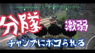 WR[だー]分隊でチャンプにボコられる！激弱！！ヘチ vs ヘチ