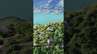 Churfirsten Trail Run - Kurztrailer '24