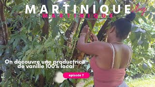 De la vanille 100% Martiniquaise ? On visite une vanilleraie et le Nord de l'île - VLOG