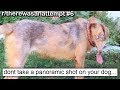R Therewasanattempt Best Posts 6