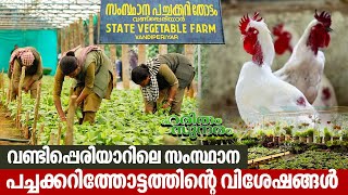 Features of State Vegetable Farm, Vandiperiyar | Haritham Sundaram EP 438