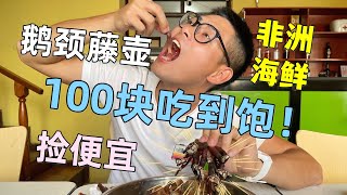 在非洲花100块鹅颈藤壶吃到饱！来自地狱的天价美食到底味道怎么样？