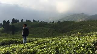 Ilam The Most Beautiful Place Of Nepal.