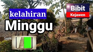 weton kelahiran hari Minggu punya elemen logam