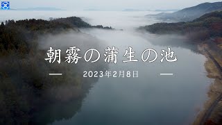 熊本県山鹿市 - 朝霧の蒲生の池【ドローン空撮 - 4K】