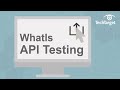 What is API Testing and Why is it Important?
