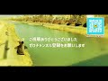 【3分で京都通！】四条烏丸・錦市場からアクセス抜群！映える焼肉屋♪