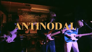 Antinodal - Live at Mad Dog Night | The Overstay [Official Video]