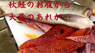 【仕込みシリーズ】いくら(筋子)秋鮭仕込み