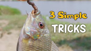 3 Easy Way For Fish Hunting || Hook Fishing Tricks!!