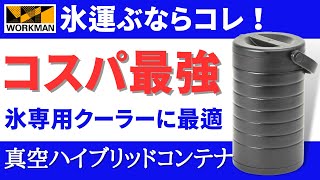 【絶対買って❗️】ワークマンのバズり商品はソロキャンプに最適‼️(真空ハイブリッドコンテナ)