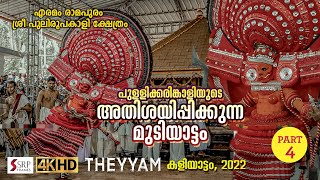 പുളളിക്കരിങ്കാളിയുടെ അതിശയിപ്പിക്കുന്ന മുടിയാട്ടം// എരമം രാമപുരം ശ്രീ പുലിരൂപ കാളി ക്ഷേത്രം