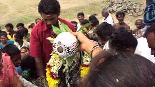 Vriddhachalam jonction friends team videos MOV09365