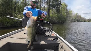 Throwback Baits Wake Walker - 5.26lb largemouth