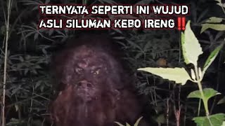 ASLI MERINDING‼️PENAMPAKAN TERJELAS ASLI SOSOK SILUMAN KEBO IRENG