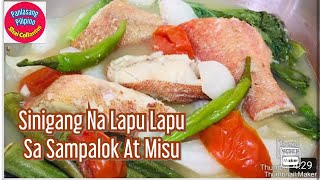 #022 SINIGANG NA LAPU LAPU SA SAMPALOK AT MISU RECIPE | Panlasang Pilipino by Shai Collantes