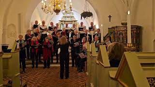 Lyngby Seniorkor julekoncert i Lundtofte Kirke 09.12.23. Locus iste