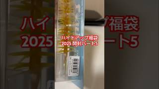 ハイドアップの福袋開封！パート5 福岡バス釣りトニー  2025 コイケストレートエラストマー