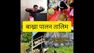 बाख्रा पालन व्यावसायिक तालिम