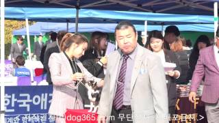 2015.10.17 Yongin Dog Show (4)