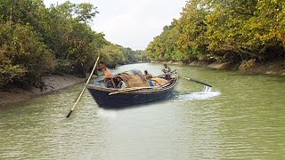 ফাতরার বনের সখিনার খাল