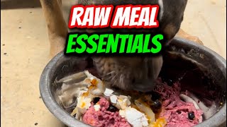 Raw Feeding Essentials: Top 3 Things to Include!