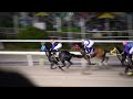 【2016】第62回大井競馬重賞si 東京ダービーレース動画