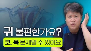 귀, 불편하신가요? 귀가 아닌 코나 목이 문제일 수 있습니다! 명동연세이비인후과