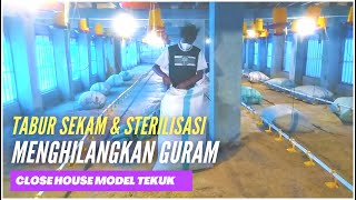 Begini proses sterilisasi dan tabur sekam kandang ayam close house