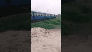 Madhubani Local Train #shorts #trains #virslshorts #indianrailways