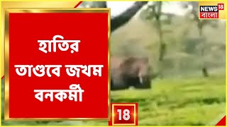 Elephant Attack | ফের লোকালয়ে হাতি, জঙ্গলে ফেরাতে গিয়ে জখম এক বনকর্মী | Bangla News